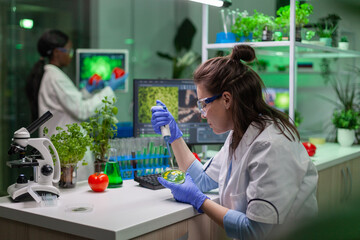 Wall Mural - chemist woman taking dna liquid from test tube with micropipette putting in petri dish analyzing gen