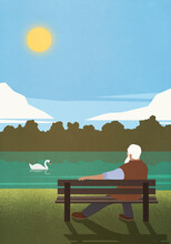 Senior Man Relaxing On Sunny Park Bench Watching Swan On Pond
