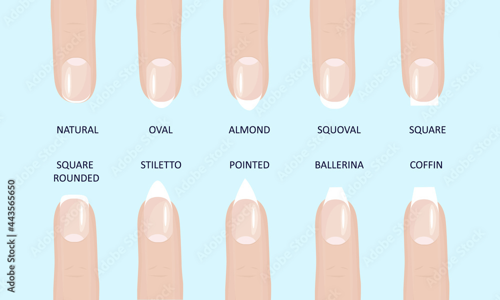 Manicure most popular fashion nail shapes flat style vector ...