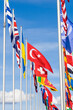 flags  of many nations in canberra