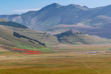 Wall Mural - Panoramic view of Castelluccio di Norcia and Pian Grande in the morning light, Umbria, Italy