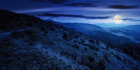 Wall Mural - carpathian mountain landscape at night. beatiful scenery with green rolling hills in full moon light