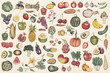 canvas print picture - Hand drawn vegetables and fruits patterned background illustration