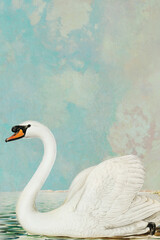 Wall Mural - White swan on lake vintage painting 