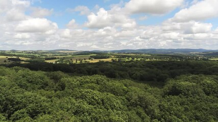 Poster - Forêt et champs dans la Nièvre, vue aérienne, Bourgogne 