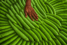 High Angle View Of Green Vegetable For Sale In Market