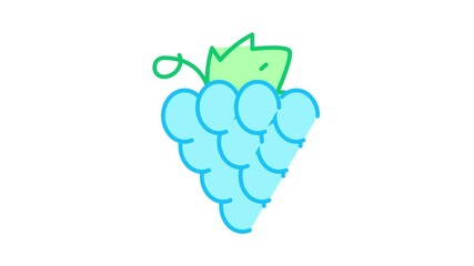 Sticker - Grape Wine Berry Icon Animation. color Grape Wine Berry animated icon on white background