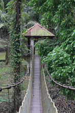 Hanging Bridge In The Garden Vertical View