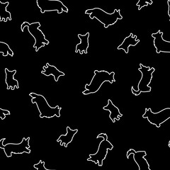 seamless vector pattern with corgi. white outline silhouette on a black background