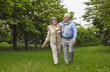 © Studio Romantic - Senior man and woman are walking on green grass in the park among the trees. Man and woman hug each other, wear glasses, happy family life. Walk in the fresh air