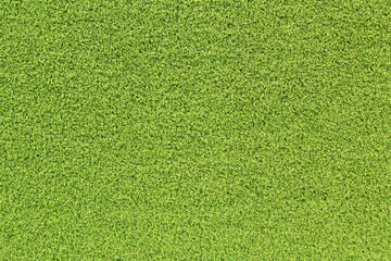 Canvas Print - top view green grass texture for background