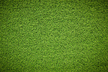 Wall Mural - top view green grass texture for background