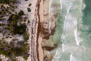 Poster - Aerial Tulum - Mexico