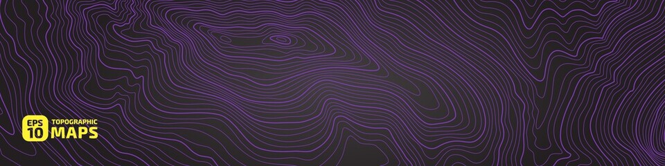 Wall Mural - stylized outlines of topographic lines. the concept of a conditional geographic scheme and trails of
