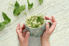 Text Happy Birthday. Old Porcelain Cup In Hands With Pale Yellow Wild Flowers. Aged Crackled Paint, Flat Lay On Textured Light Mint Green Background. Mature Female Hands Hold Cup. Floral Summer Decor.