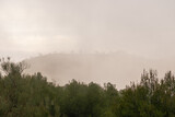 Fototapeta Na ścianę - mountain covered with mist