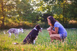 Woman with her dogs in garden during sunset. Pet owner with border collie and whippet enjoying summer outdoors