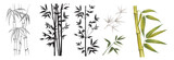 Fototapeta Sypialnia - Set of differents bamboo branches on white background. Watercolor, line art, outline illustration.
