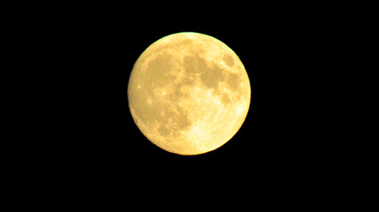 full yellow moon on a black sky background