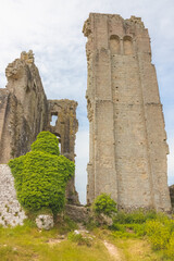 Wall Mural - Hilltop medieval castle ruins of Corfe Castle, Dorset, England on a summer day.