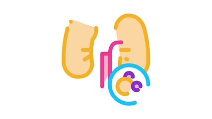 Sticker - human lungs Icon Animation. color human lungs animated icon on white background