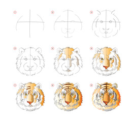 Wall Mural - how to learn to draw sketch of tiger head. creation step by step watercolor painting. educational pa
