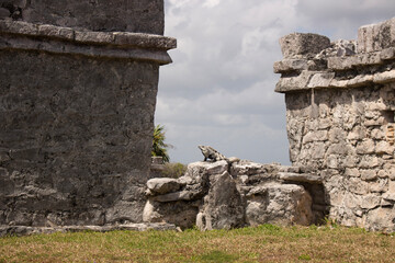 ruins of ancient city