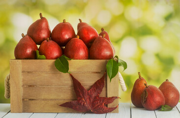 Red Anjou Pears in a wood box over a white wooden table with green blurred background