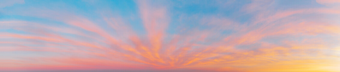 Wall Mural - panorama of the morning sky with pink clouds