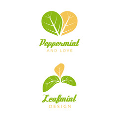 Mint leaves flat vector color icon template illustration design