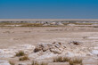 view of the dry Etosha salt pan at Etosha national park, Namibia