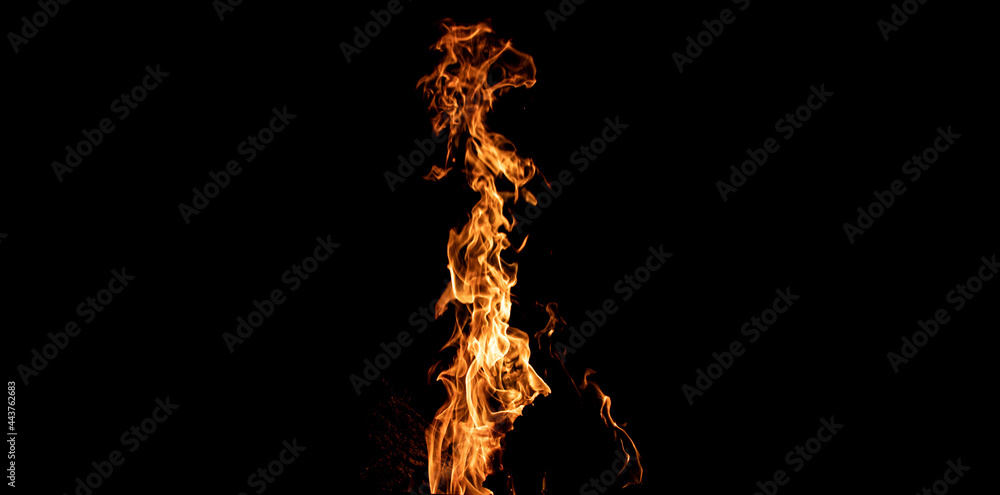 ogień, ognisko na czarnym tle,  płomień - obrazy, fototapety, plakaty 