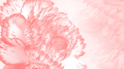 Soft pink pastel background from flower close-up
