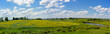 Panorama of grassland with yellow flowers, field, meadow, lake and green trees.