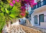 Fototapeta Na drzwi - Beautiful traditional street in Greek island town. Whitewashed houses, bougainvillea in blossom, palm tree leaves, cobblestone. Mykonos, Greece