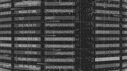 Database with passwords. Animation. Data with IP addresses and passwords in table rows. Computer database with passwords in public domain