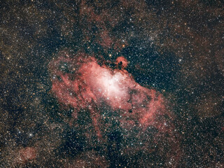 Wall Mural - the eagle nebula (m16) from christchurch, new zealand, july 2021.