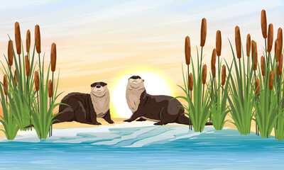 Two river otters sit on the banks of a river or lake in thickets of reeds. Eurasian otter Lutra lutra, The Eurasian river otter. Wild semiaquatic mammal of Eurasia. Realistic vector animal