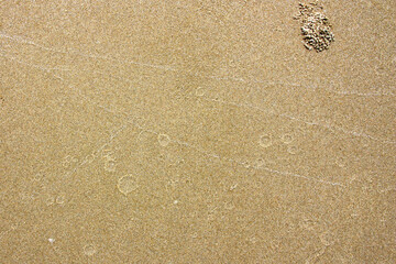 Sand texture background on the beach