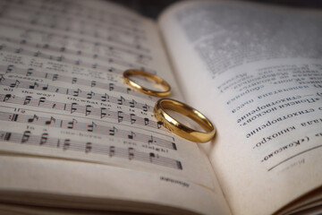 two wedding rings are lying on the book