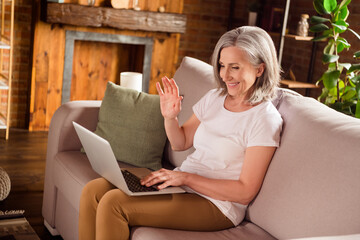 Sticker - Portrait of attractive cheerful grey-haired woman sitting on divan waving hello using laptop at home house flat indoors