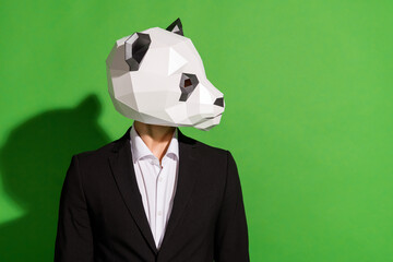 Canvas Print - Profile photo of role-play character look side empty space wear panda head black suit isolated on green color background