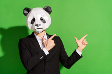 Photo Of Reliable Manager Guy Indicate Forefinger Empty Space Wear Panda Mask Black Tux Isolated On Green Color Background