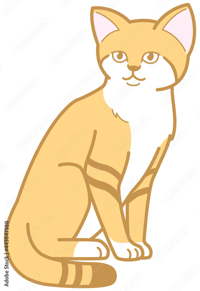 スナネコ 座る 猫科動物 イラスト Wall Mural Wallpaper Murals So Terada スナネコ 座る 猫科動物 イラスト Wall Mural Wallpaper Murals So Terada