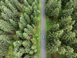 Luftaufnahme eines Waldes mit einer Straße und Auto