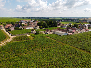 Aerian view on green grand cru and premier cru vineyards with rows of pinot noir grapes plants in Cote de nuits, making of famous red Burgundy wine in Burgundy region of eastern France.