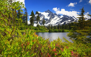 Canvas Print - Scenic Mt Shuksan landscape in Washington state