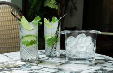 gin tonic mojito glass cocktail water ice lime tropical leaves table drink