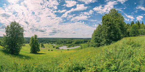 Wall Mural - Summer panoramic landscape with wildflowers and trees on a wide meadow, a winding river and a forest in the distance, clouds in the blue sky.