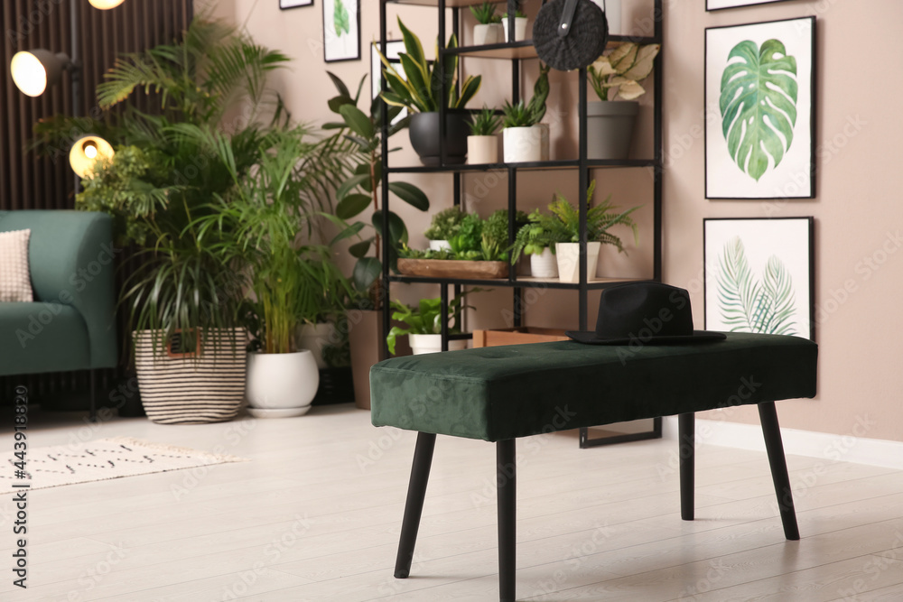 Stylish room interior with indoor bench and beautiful houseplants Stock ...